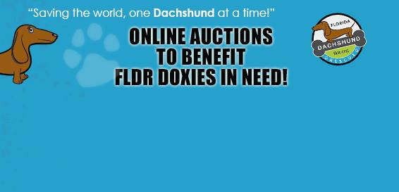 Online Auctions to Benefit FLDR Doxies in Need